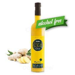 Produktfoto zu Ingwer Elixir BIO