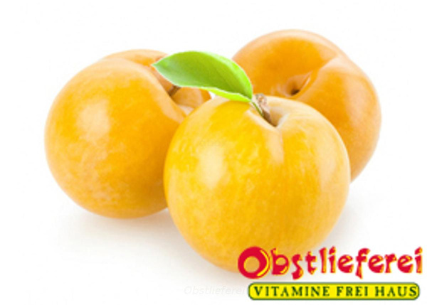 Produktfoto zu Pflaume gelb BIO