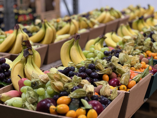 KI generiert: Kisten mit verschiedenen frischen Früchten, darunter Bananen und Trauben.
