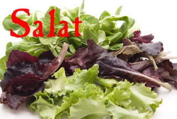 Salat Box
