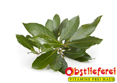 Produktfoto zu Lorbeer