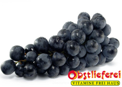 Produktfoto zu Traube blau