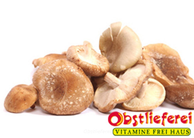 Produktfoto zu Shii-Take