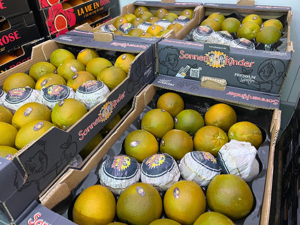 Produktfoto zu Schokoladen Orange
