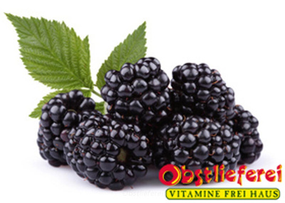 Produktfoto zu Brombeeren aus Baden