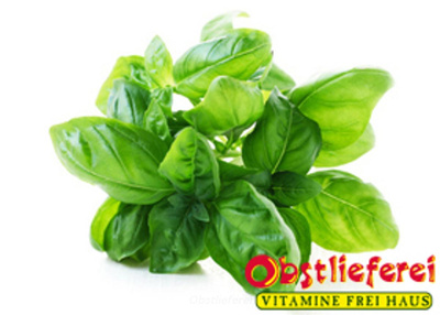 Produktfoto zu Basilikum Bund