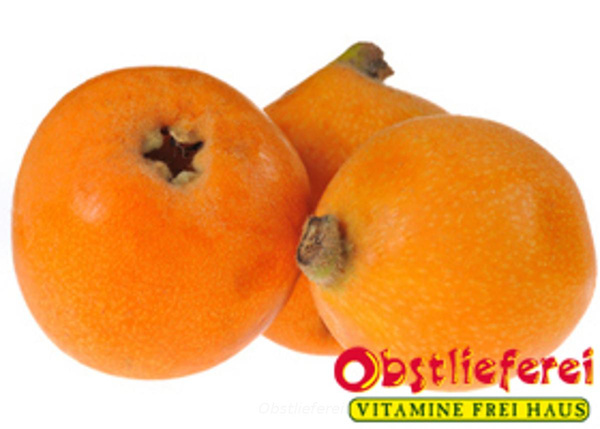 Produktfoto zu Nespoli oder japanische Wollmispel