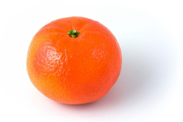 Produktfoto zu Clementine
