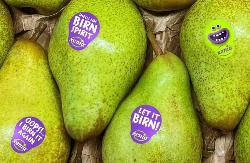 Produktfoto zu Birne Xenia BIO