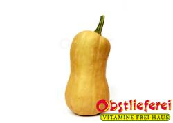Produktfoto zu Kürbis "Butternuß"