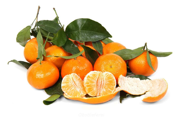 Produktfoto zu Clementinen Orri