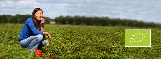 Obst und Gemüse Saisonkalender