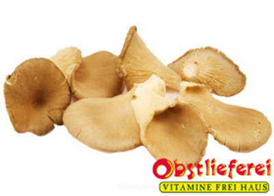 Produktfoto zu Austernpilze