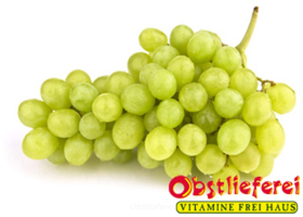 Produktfoto zu Traube weiß kernlos