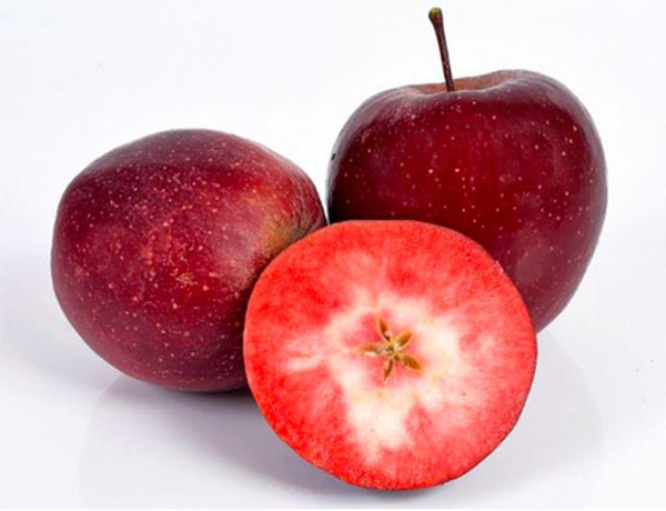 Produktfoto zu Apfel Kissabel