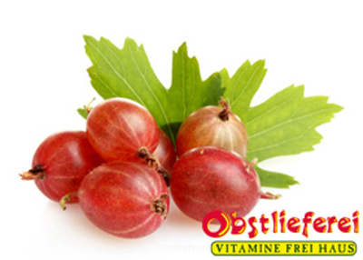 Produktfoto zu Stachelbeeren